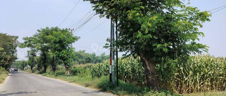 Tanah nol jalan raya  1