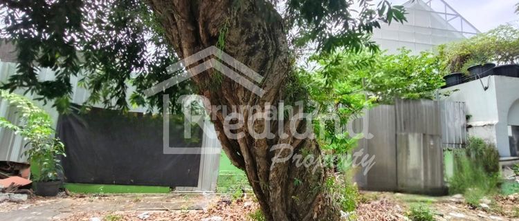 Tanah di Daerah Pleburan , Semarang ( De 8593 ) 1