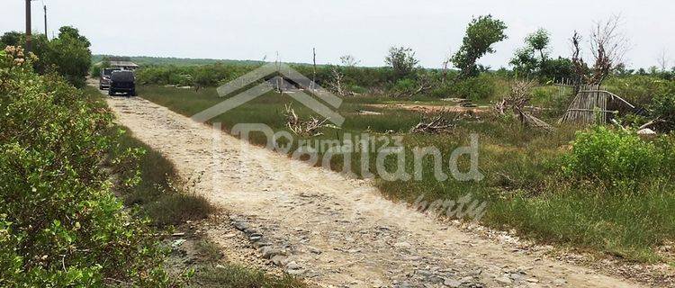 Tanah di Patebon , Kendal De 6253  1