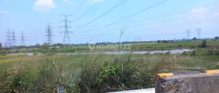 Dijual Cepat (BU) Tanah sawah deket toll KM43 1