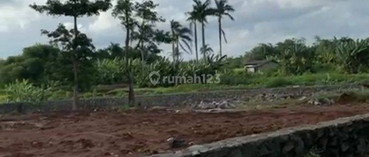Tanah Tigaraksa Tangerang Sudah Shm Nego 1