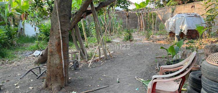 Dijual Cepat Rumah Dan Kebun Dekat Pik2 Teluknaga 1