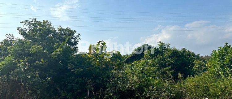 TANAH LUAS SIAP BANGUN LOKASI STRATEGIS DAERAH PUSAT WISATA DAN VILLA DI PINGGIR JALAN RAYA KASONGAN BANGUNJIWO KASIHAN BANTUL 1