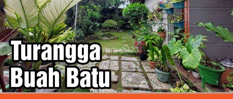 Rumah Asri Area Turangga Buahbatu Bandung 1