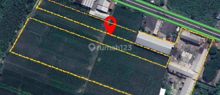 Pabrik Mie Mojoagung luas 3,99 HA 0 Jalan Provinsi SHM 1