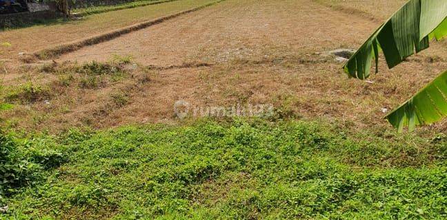 Tanah 1.440 m² SHM Siap Bangun di Condong Catur, Sleman, Yogyakarta 1