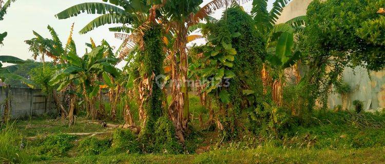 Di Jual Lahan Kavling Tanah Kosong Di Taman Kebon Jeruk  1