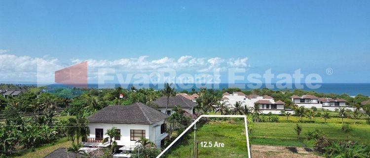 Freehold Land With Amazing Views In Tabanan  1