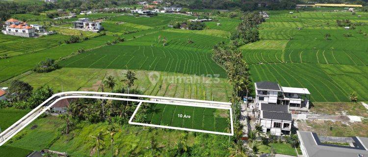 Freehold Perfect Size Land In The Orange Zone Of Nyanyi 1