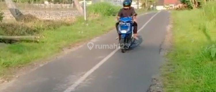 Tanah Kavling Murah Tumpang Malang Wringinsongo Pinggir Aspal Lokasi Sangat Strategis 1