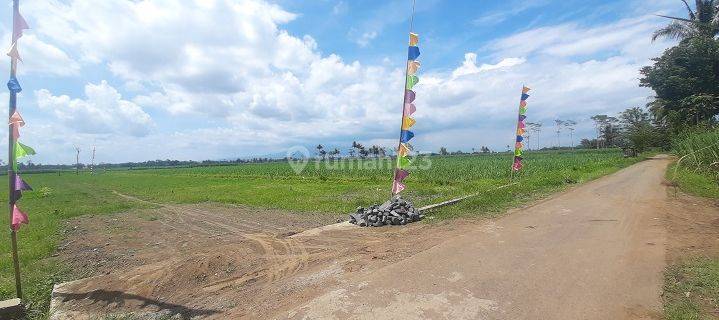 Tanah Kavling Green Ketawang Gondanglegi Malang Dkt Pp Ar Rifa i 1