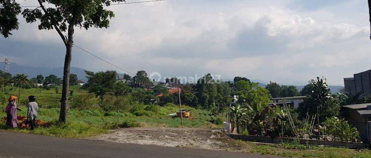 Dijual Tanah Nol Jalan Pacet Mojokerto Dekat Pasar Dan Bunderan Pacet Depan Hall Gajah Mada  1