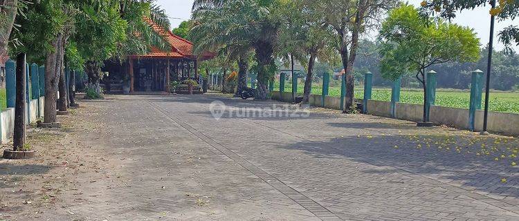 Rumah Usaha + Tanah Murah Di 0 Jalan Raya Bypass Mojokerto  1