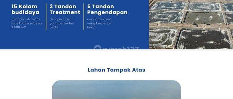 Property Apapun Itu Menjanjikan Dijual Tambak Udang Vannamei Lokasi Situbondo Luas 9,8h.a 1