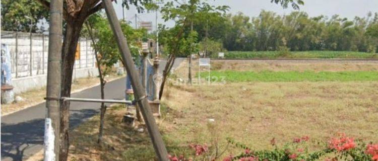 Dijual Tanah Nganjuk Jalan propinsi Nganjuk 1