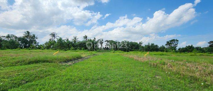 For Sale Exclusive Plot of Land With Rice Field and Sea View Located at Belong Beach, Tabanan 1