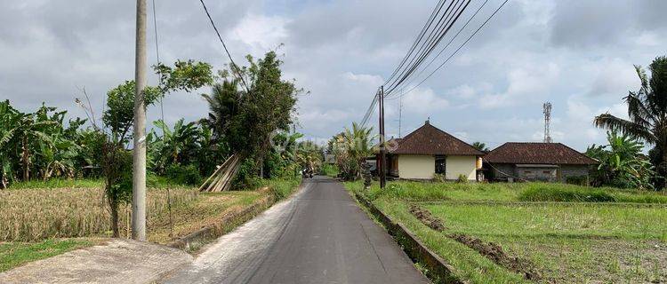 Dijual Tanah Kavling Impian di Ubud, Area Petulu, Gianyar, Full View Sawah Hijau Nan Asri.  1