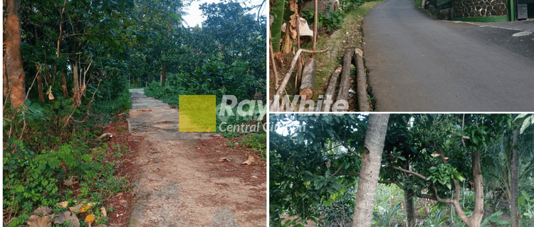 Tanah Kebun Buah di Tenjolayar, Majalengka 1