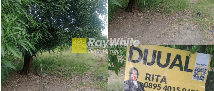 Dijual Tanah Kavling Di Cijurey Panyingkiran, Majalengka 1