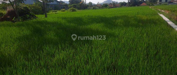 Tanah 2.529 m² di Dukupuntang, Cirebon 1