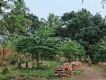 Tanah Kebun Jati di Tenjolayar, Majalengka 1