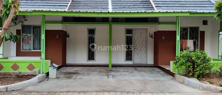 Disewakan Rumah 2 Kavling di Perumahan Citraland Cluster Davida 1