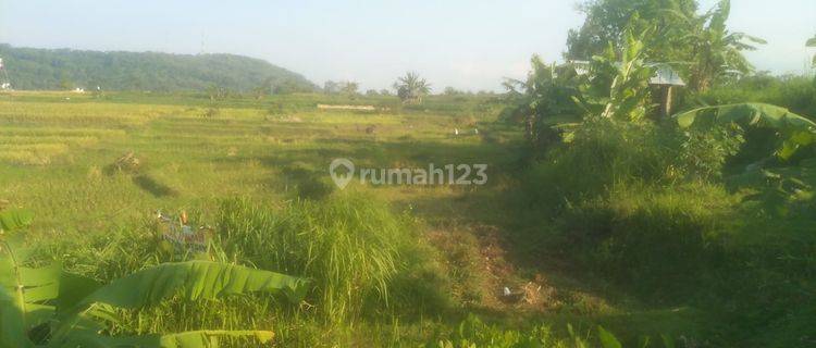 Tanah Sawah 2.057 m² di Jalaksana, Kuningan 1