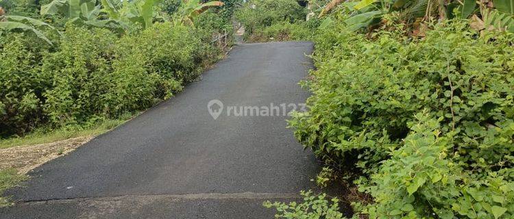 Land for sale in Sawangan, South Kuta, Badung 5 Are 1