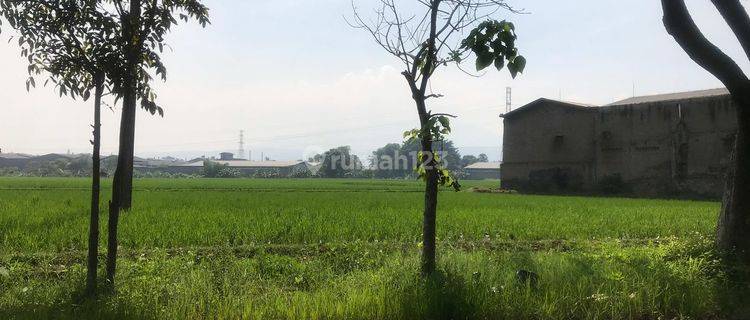 Jarang Ada Tanah Dijual Murah Di Batujajar 1