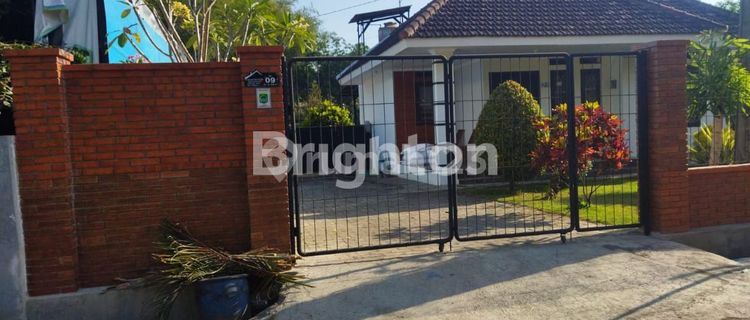 Beautiful Pakisaji House Plus Super Spacious Catfish Business 1