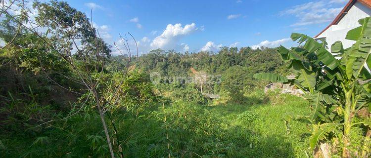 Cliff Land for Sale with eternal view in Sukawati, Gianyar 1