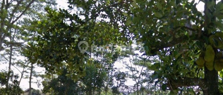 Kavling Siap Bangun Bagus Murah Ramai 1