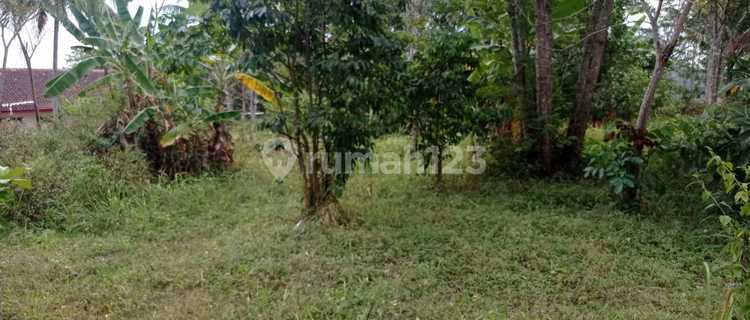 Jual Tanah Strategis Pinggir Jalan Provinsi.cocok Utk Cluster Atau Usaha Kulineran. 1