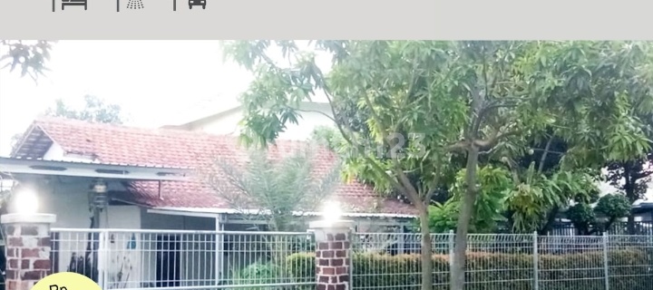 JUAL RUMAH 566 m2 DI SEKITAR JL.GAJAH,SEMARANG TIMUR.JALAN DEPAN LUAS.BEBAS BANJIR. 1