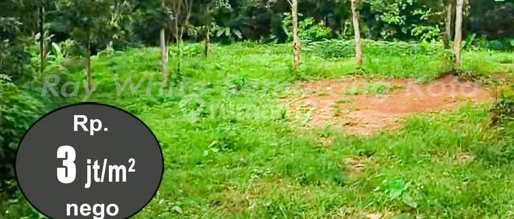 Tanah Shm 4000m² Di Depan Kampus Unnes, Gunungpati, Semarang. Cocok Dibuat Kost²an. 1