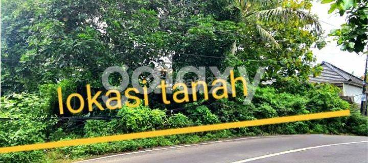 TANAH PINGGIR JALAN DI BELIMBING SARI PECATU BADUNG, BALI 1