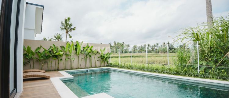 Monthly Rental/Sale Freehold Villa View Rice Fields In Ubud Cn 1