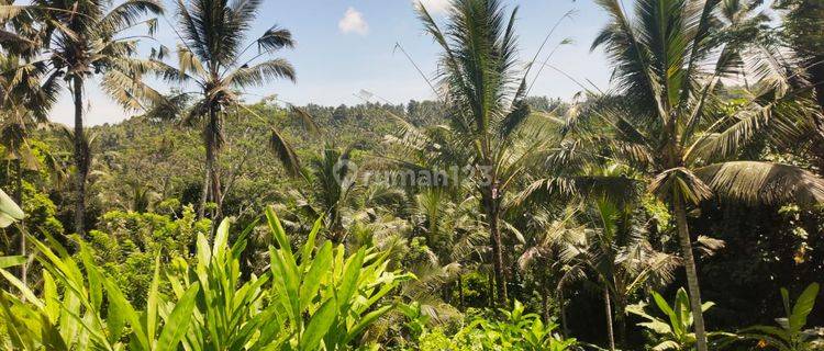 Dijual Tanah 3300 M² Di Tabanan Dd 1