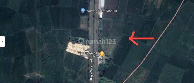 Jual Murah Tanah BURNEH, Nol Jalan Raya Suramadu,Bangkalan, Madura 1