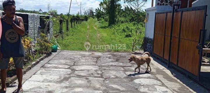 Rumah Kontrakan Baru Furnished SHM di Kedungu, Tabanan 1