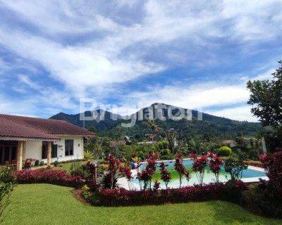 Villa Coolibah luas 5000m2 Cipanas 1