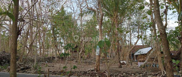 Tanah Pekakarangan Luas Murah,luas Lokasi Bagus Mangku Aspal 1