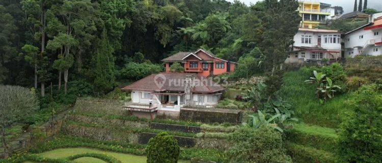 Dijual Villa Di Sarangan Magetan Menghadap Danau,halaman Luas 1