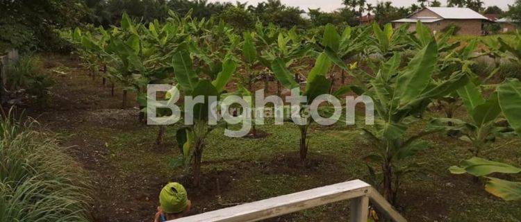 TANAH KAVLING MASUK GANG SELUAS 133M2 DI SEI MENCIRIM, SUNGGAL 1