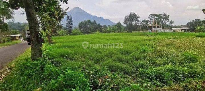 Dijual Tanah Trawas Mojokerto Strategis Siap Pakai 1