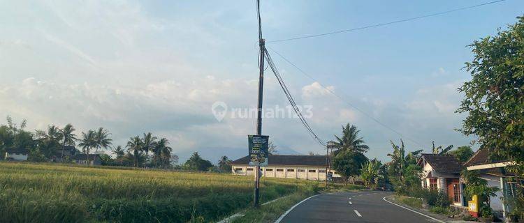 Murah Sekali, Tanah di Sleman Dekat Jalan Utama Cuma 300 Jtan 1
