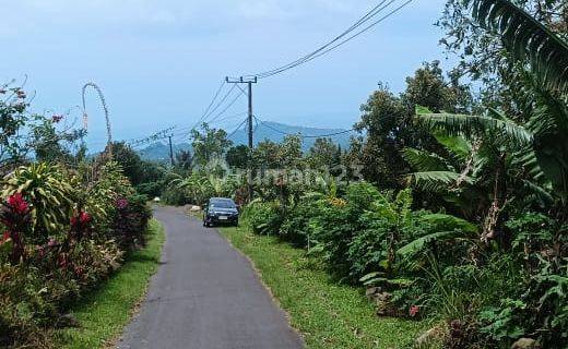 Dijual Tanah View Singaraja Pantai Lovina 1