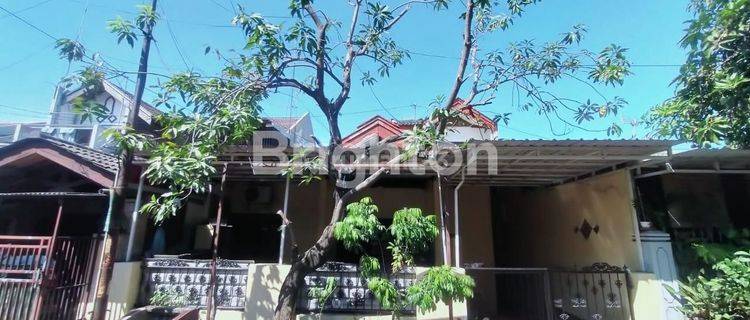 RUMAH 2 LANTAI GRIYO MAPAN, ROW JALAN 2 MOBIL 1