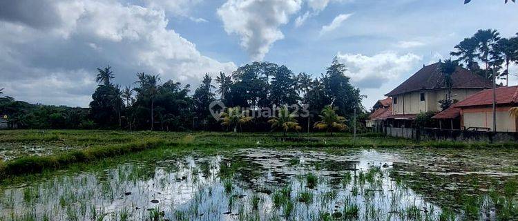 Tanah SHM Lokasi Strategis Dekat Pantai Keramas Gianyar 1