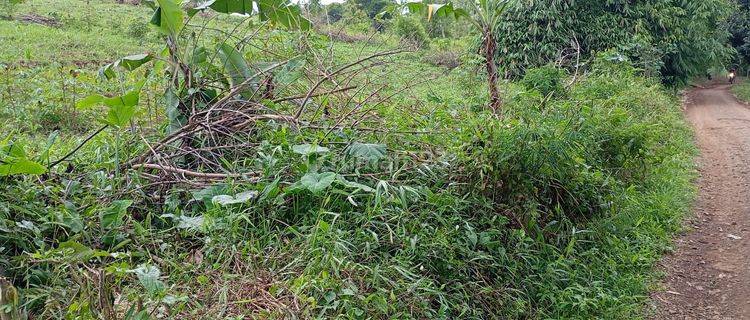 Dijual Tanah Arjasari Lega Dan Siap Juragan Invest Kab Bandung 1